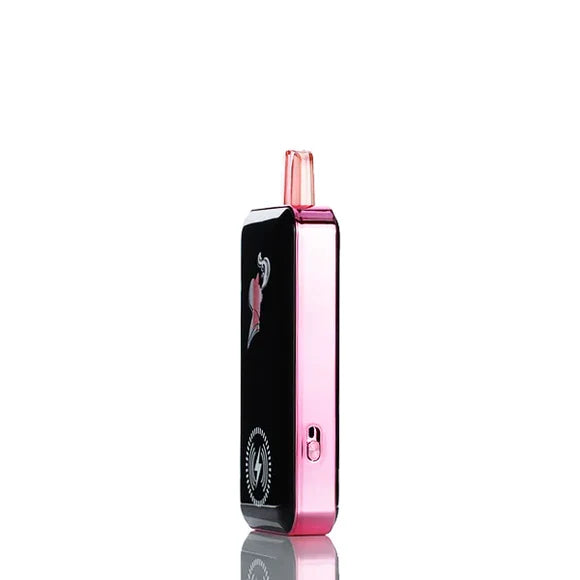 Chris Brown 15000 Puffs Disposable Vape - 15ML